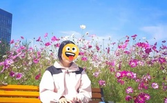 说说电视记者这行吧